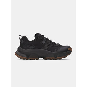 Under Armour Training cipő N&otilde;i cip&otilde; Under Armour UA W Charged Expanse Low WP