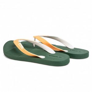 Speedo Saturate II Thg AM(UK) Speedo Saturate II Thg AM(UK)